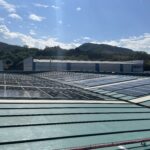 sostenibilidad: bianditz instala placas solares reducir huella de carbono y el impacto ambiental